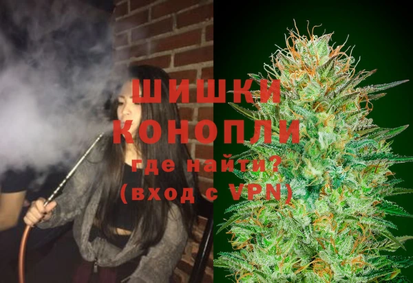 дживик Баксан