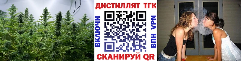 Купить где  Мензелинск  ТГК вейп 