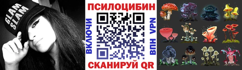 Купить где  Мензелинск  Псилоцибиновые грибы Psilocybe 